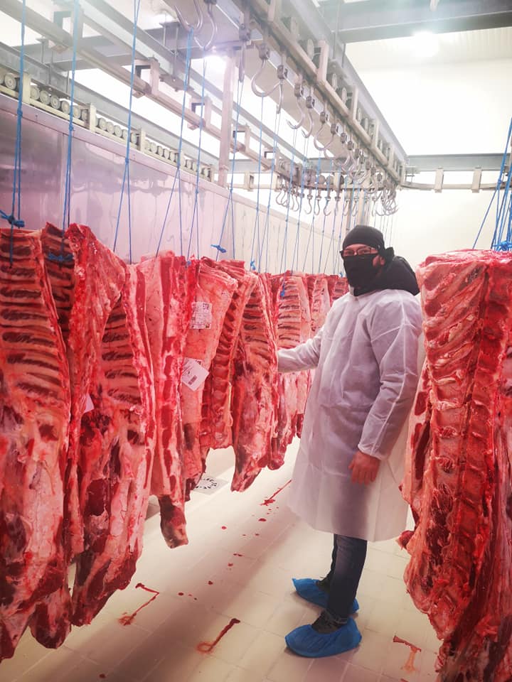 Lombatello di Vitello